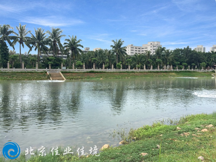 ??诎咨澈? width=
