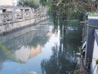 生物治理河道效果佳，微生物擔(dān)當(dāng)“清道夫”