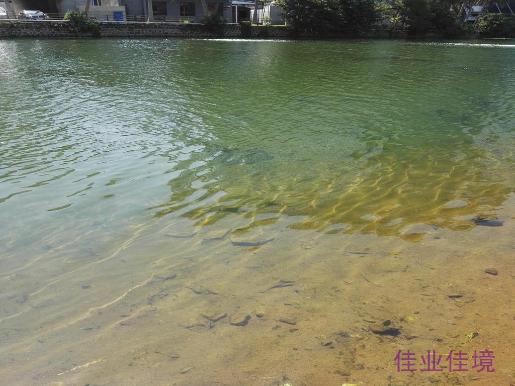 ?？邙單蚕诔羲w生態(tài)修復(fù)工程