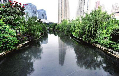 黑臭水體治理屢屢失敗告終 為什么？