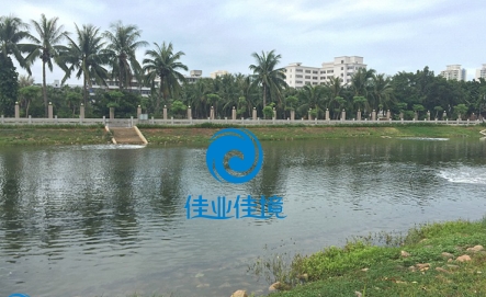 海口黑臭水體中試治理大比武，佳業(yè)佳境奮勇奪冠